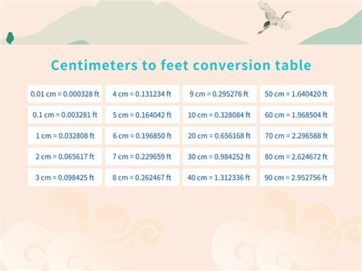 500 Centimeters To Feet Converter