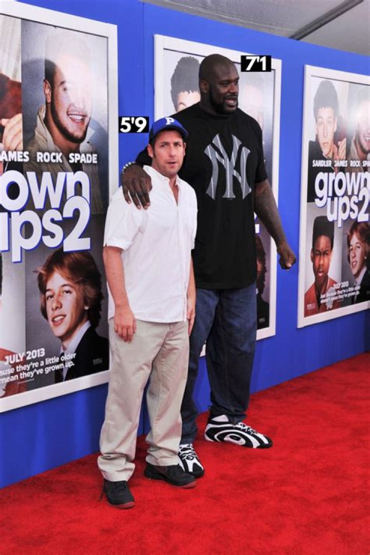Unveiling The Secrets Of Adam Sandler's Height: A Comprehensive Exploration