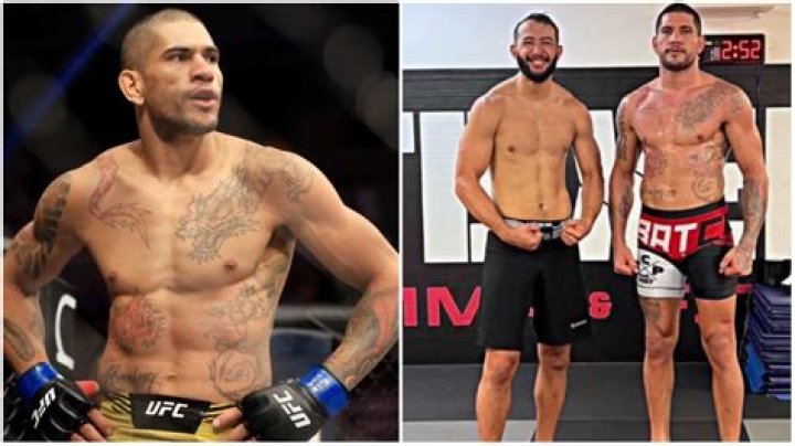 Unveiling Alex Pereira's Height: A Comprehensive Analysis