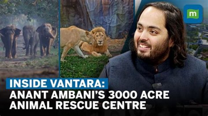 Uncovering Anant Ambani's Journey On The Autism Spectrum