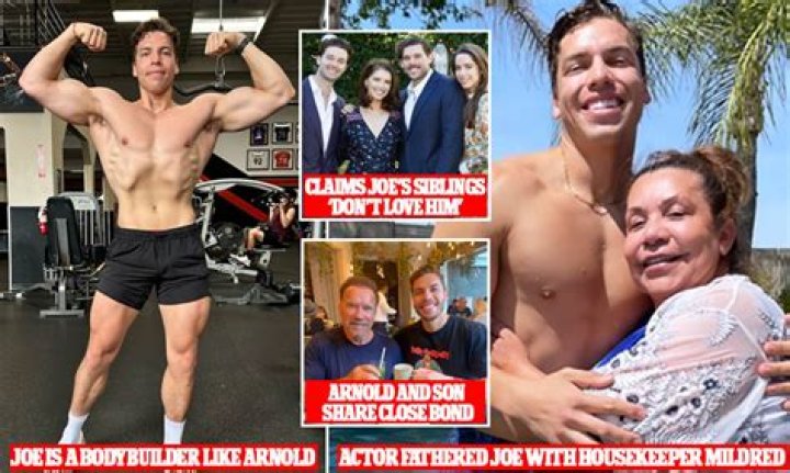 Get The Scoop: Arnold's Son And Mom Twitter Saga