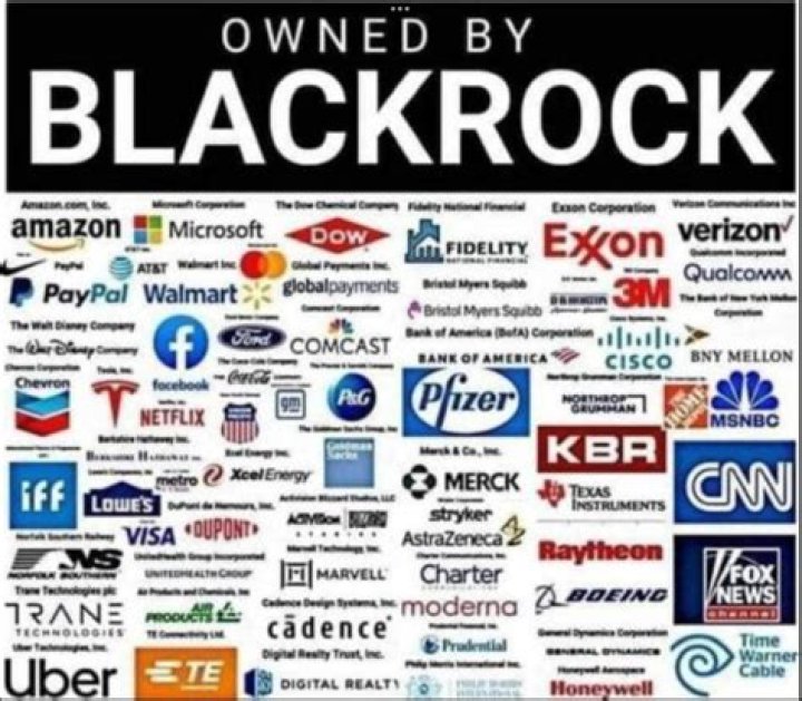 Insightful Analysis Of BlackRock's Net Worth | Comprehensive Breakdown