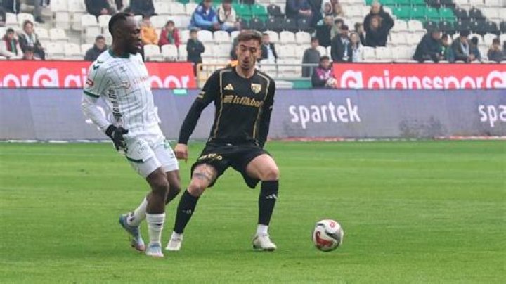 Discover Exquisite Camilla Araujo Vans: Style And Comfort Combined