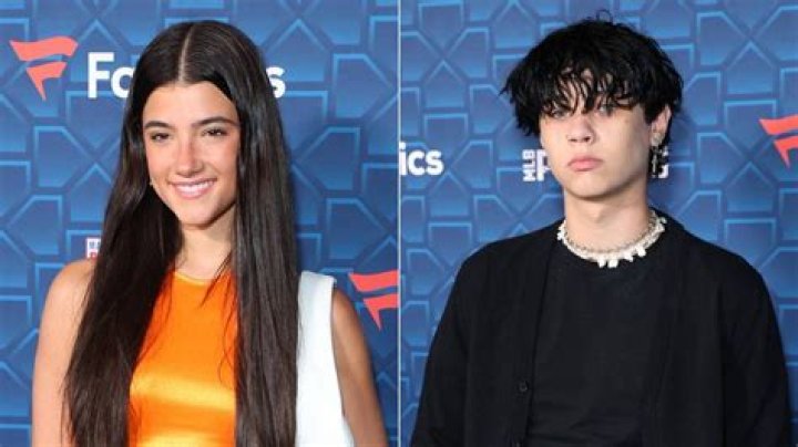 Charli D'amelio And Her Boyfriend