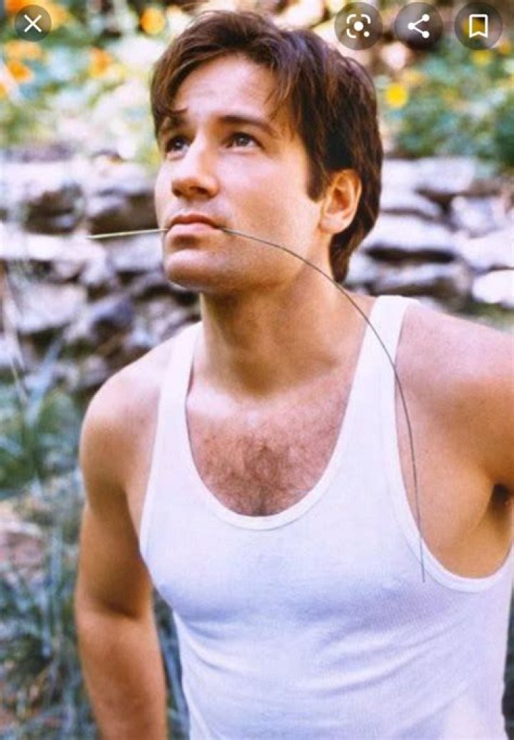 The Youthful Radiance Of David Duchovny