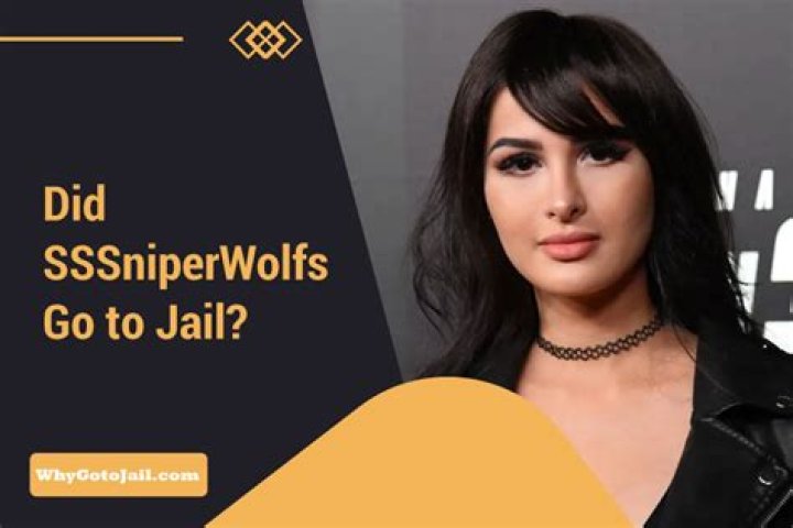 Unraveling The Enigma Of SSSniperWolf's Legal Odyssey