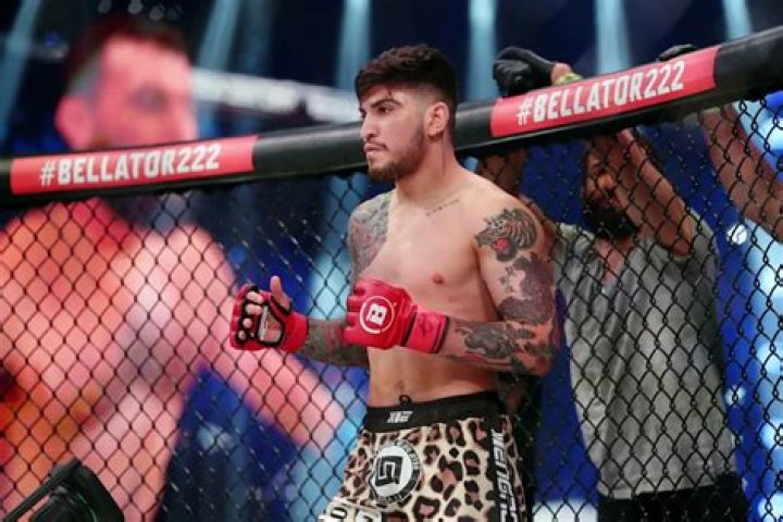 Unraveling Dillon Danis' Bellator Record: Unlocking Potential And Dominance