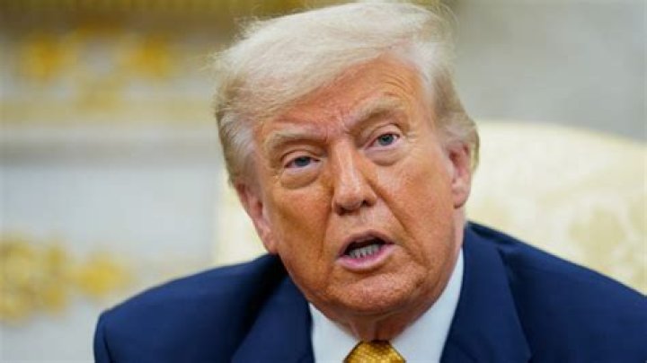 Donald Trump's Early Life: A Journey To Power