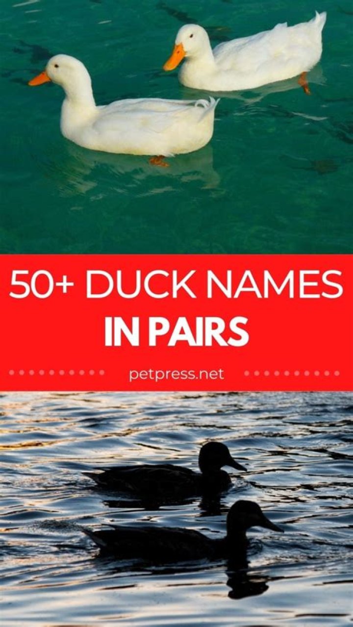 Duck Pair Names