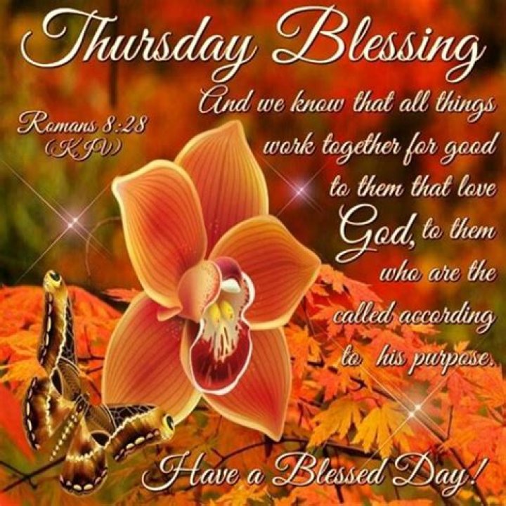 Fall Thursday Blessings