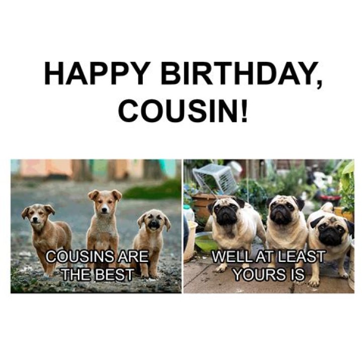 Discover The Art Of Funny Cousin Birthday Memes