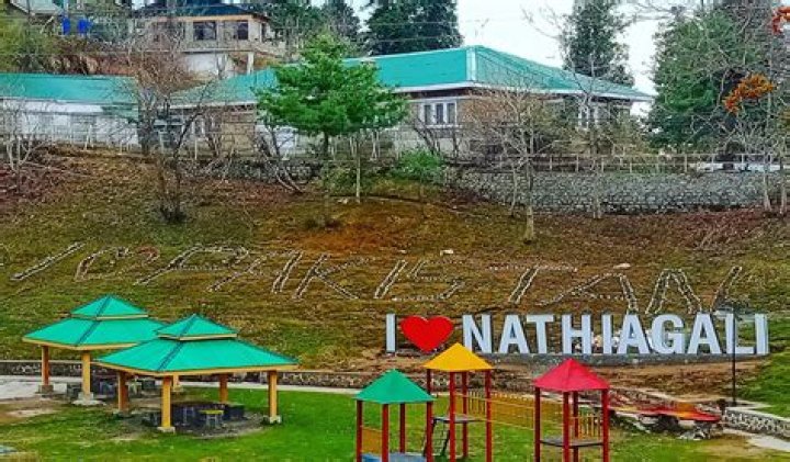 Discover The Authentic Flavors Of 