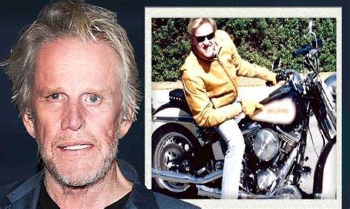Shocking News: Gary Busey's Motorcycle Mishap