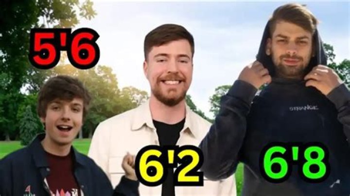 Unveiling Chandler From MrBeast's Height: Discoveries Unfold