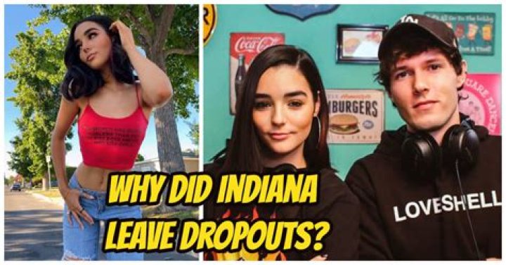 Unveiling The Secrets Of Indiana Dropouts: Discoveries And Insights