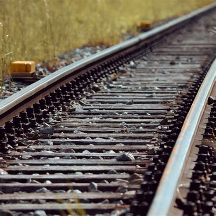 Is Bob Seger Still Alive? Clarity On Death Rumors