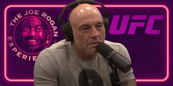 Joe Rogan's UFC Career And Net Worth: A Comprehensive Breakdown