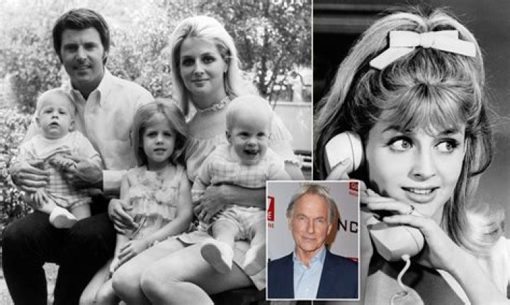 Exploring The Circumstances Of Kristin Nelson's Death