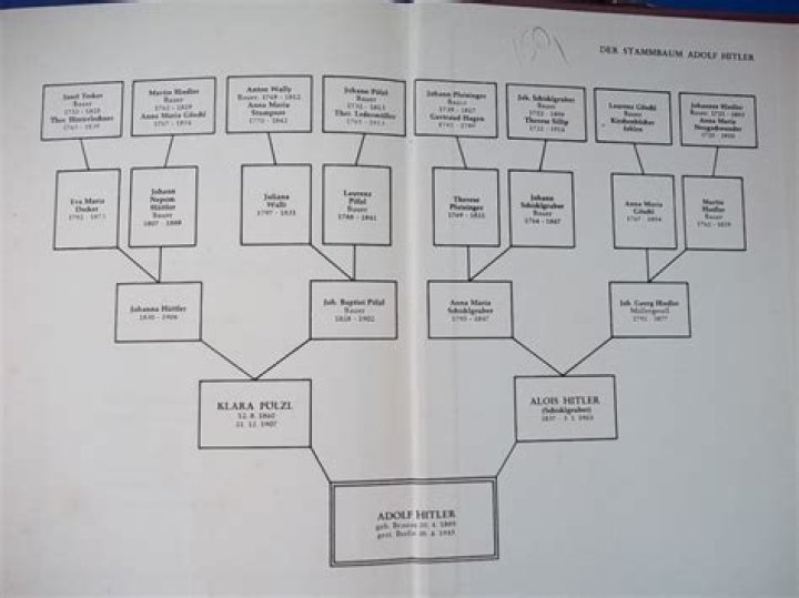 Exploring The Lewandowski Stammbaum: A Journey Through Heritage