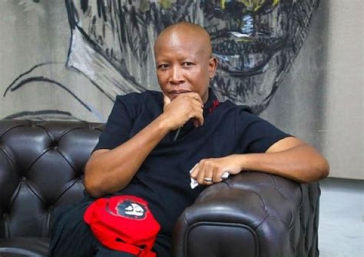 What Is Julius Malema's Age? Explore His Life Timeline