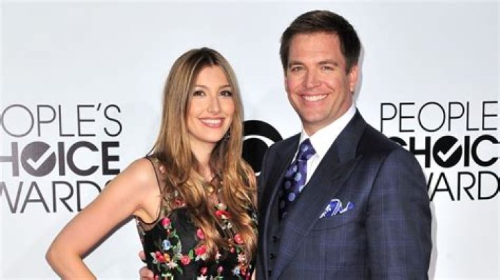 Michael Weatherly Marriage: Exploring His Happy Union