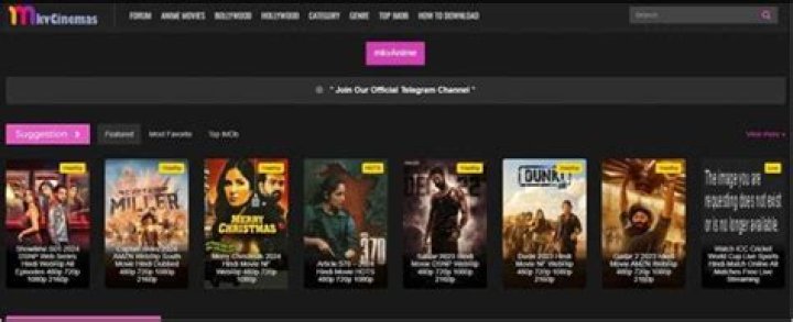 Explore The Ultimate Destination For High-Quality MKV Movies | Mkvmoviespoint.in