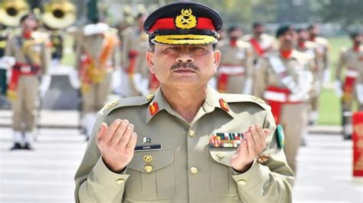 Ultimate Guide To Munir Nasroui's Inspiring Journey