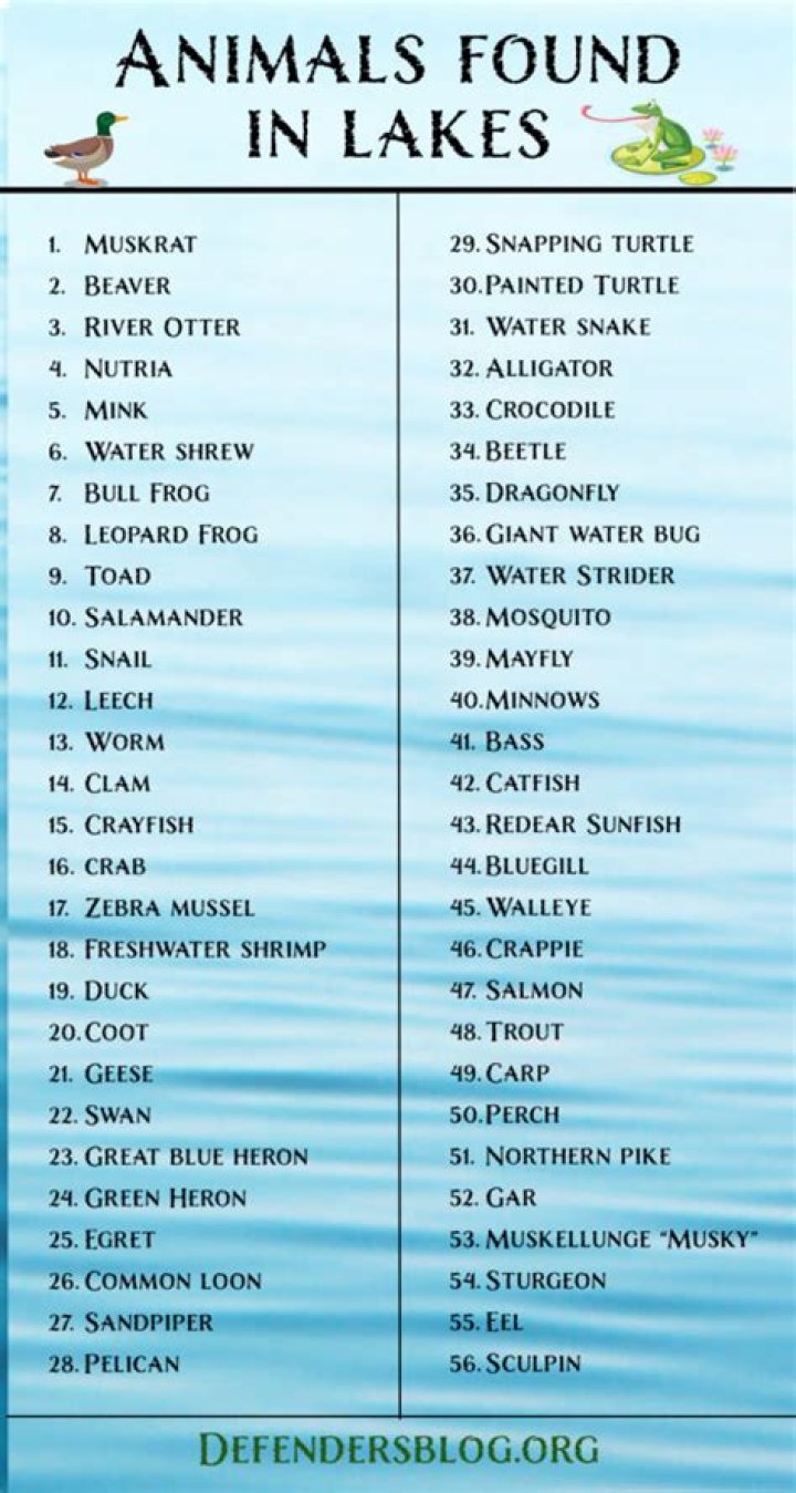 Name An Animal That Lives In A Lake