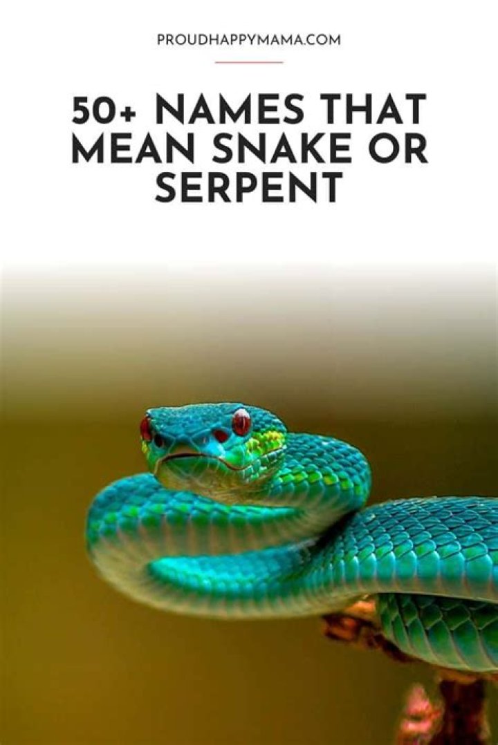 Names That Mean Snake Or Serpent