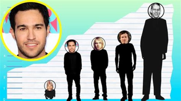 Pete Wentz's Height And Its Impact