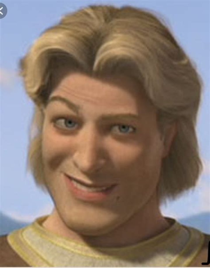 Discovering The Enigmatic Prince Blond Shrek