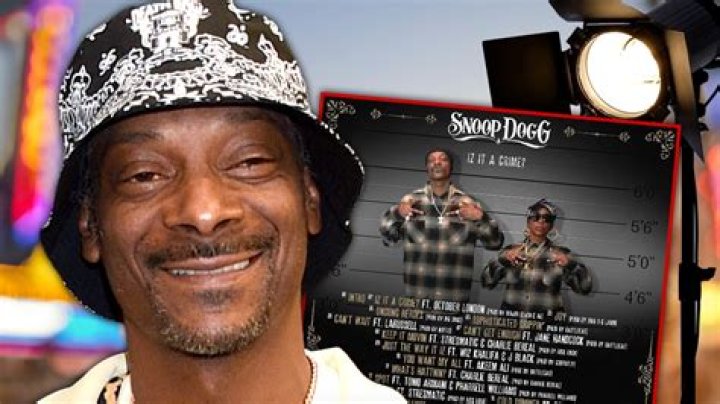 Snoop Dogg's Criminal History: Past Arrests And Legal Troubles