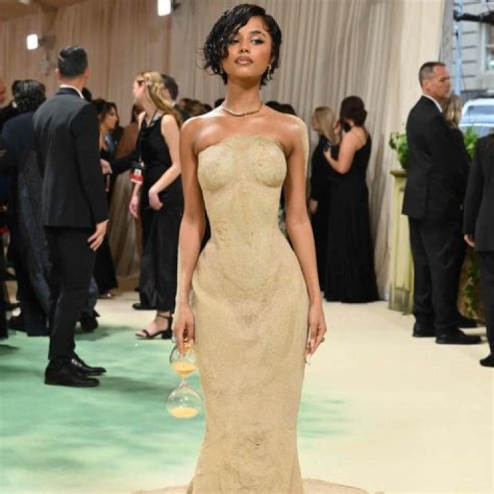 The Ultimate Guide To Building A Tyla: A Comprehensive Guide For Beginners