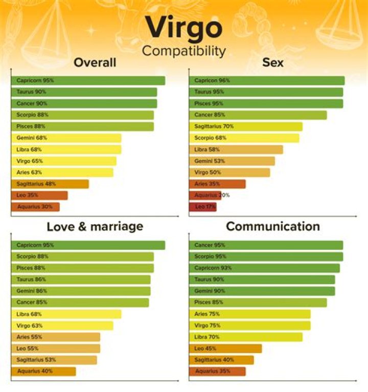 Virgo And Virgo Compatibility Exposed