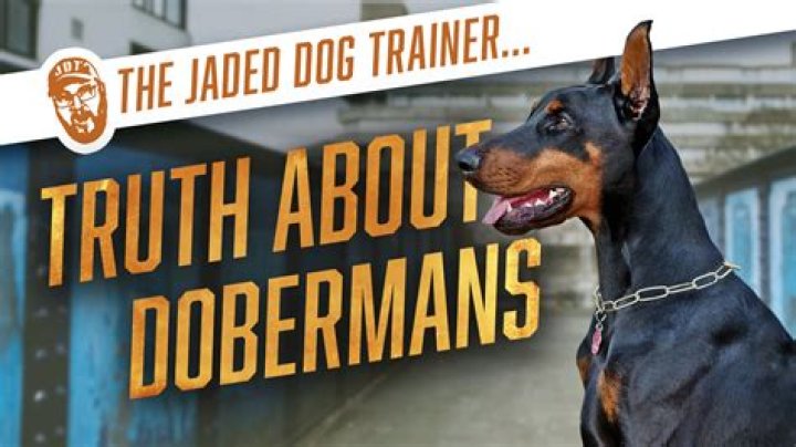 What Did Chad Doberman, The Controversial Former Police Officer, Do?