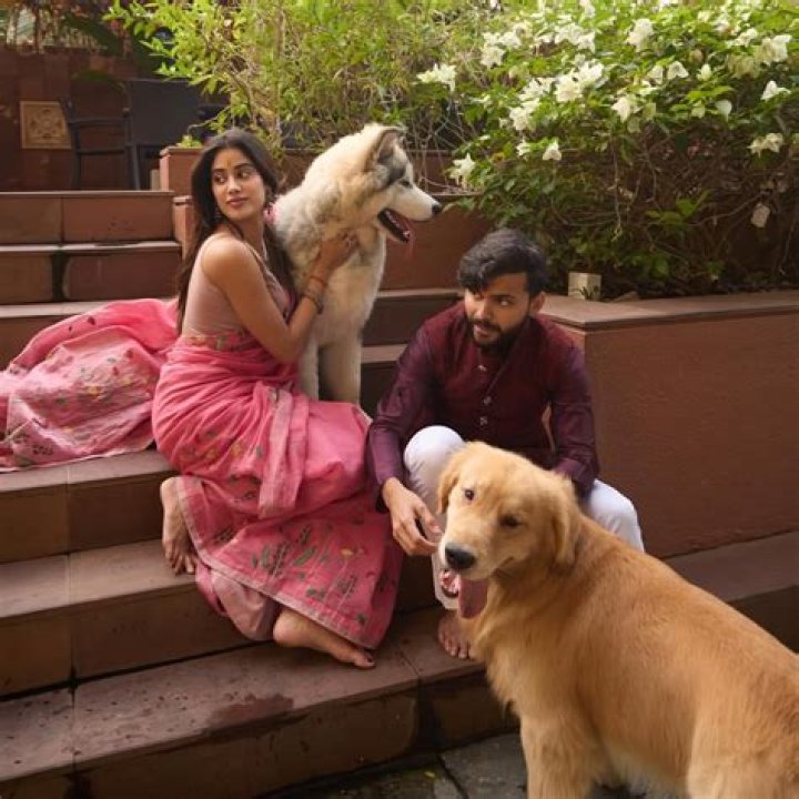 Shikhar Pahariya: A Comprehensive Guide To Their Roles And Responsibilities