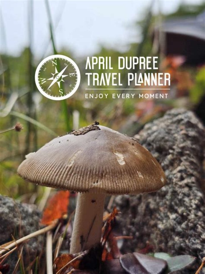 Where In The World Is April Dupree?