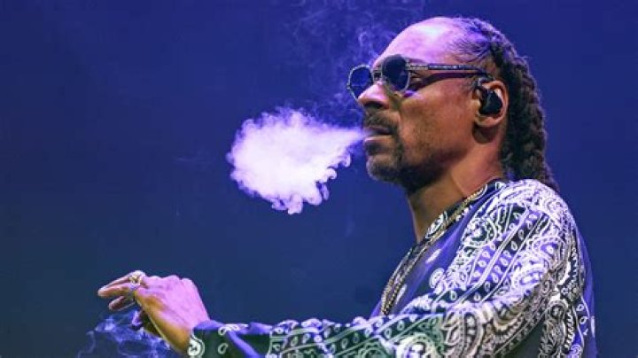 Why Snoop Dogg's Legal Troubles Led Him To Jail